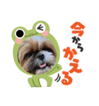 うちの鼻黒わんこのお友達5（個別スタンプ：9）