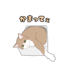 ネコのまったり生活♪（個別スタンプ：9）