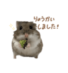 おもちの日常すたんぷ 敬語ver.（個別スタンプ：2）