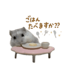 おもちの日常すたんぷ 敬語ver.（個別スタンプ：6）