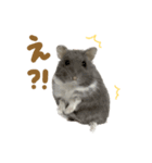 おもちの日常すたんぷ 敬語ver.（個別スタンプ：8）