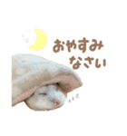 おもちの日常すたんぷ 敬語ver.（個別スタンプ：10）