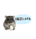 おもちの日常すたんぷ 敬語ver.（個別スタンプ：17）