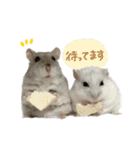 おもちの日常すたんぷ 敬語ver.（個別スタンプ：19）