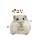 おもちの日常すたんぷ 敬語ver.（個別スタンプ：20）