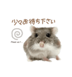 おもちの日常すたんぷ 敬語ver.（個別スタンプ：24）
