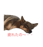モッチー スタンプ（個別スタンプ：7）