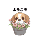 犬鉢（個別スタンプ：20）