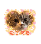 ギンコタものがたり〜②（個別スタンプ：1）