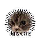 ギンコタものがたり〜②（個別スタンプ：8）