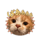 ギンコタものがたり〜②（個別スタンプ：10）