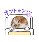 ギンコタものがたり〜②（個別スタンプ：12）