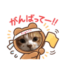 ギンコタものがたり〜②（個別スタンプ：15）