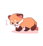 Red panda(Lesser panda)（個別スタンプ：8）