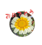 お花（植物）フォトスタンプ（個別スタンプ：7）