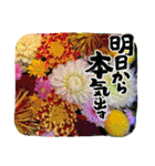 お花（植物）フォトスタンプ（個別スタンプ：26）