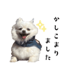 大人しい犬(敬語)ポメラニアン（個別スタンプ：2）