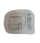 メダーズの毎日使えるスタンプ❣️（個別スタンプ：13）