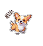 画像は text_corgi と一致しません（個別スタンプ：30）