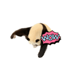 Wow！yay（個別スタンプ：8）