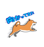 いぬと2歳（個別スタンプ：33）