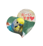 ルキちゃん セキセイインコ1（個別スタンプ：18）