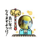 ルキちゃん セキセイインコ1（個別スタンプ：24）