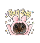 リボンNo．3（個別スタンプ：30）