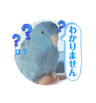 マメルリハ達7（個別スタンプ：2）