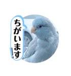 マメルリハ達7（個別スタンプ：4）