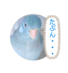 マメルリハ達7（個別スタンプ：6）