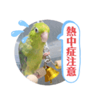 マメルリハ達7（個別スタンプ：9）