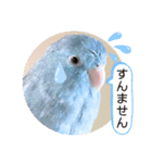 マメルリハ達7（個別スタンプ：18）