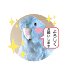 マメルリハ達7（個別スタンプ：22）