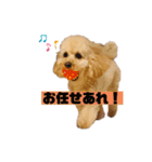 高橋さん家のリリィちゃん（個別スタンプ：10）
