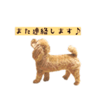 高橋さん家のリリィちゃん（個別スタンプ：29）
