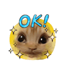 nudeshima simba（個別スタンプ：5）
