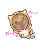 nudeshima simba（個別スタンプ：8）