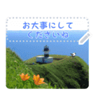 礼文島の旅かもめ vol.3(自由文字スタンプ)（個別スタンプ：8）