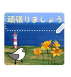 礼文島の旅かもめ vol.3(自由文字スタンプ)（個別スタンプ：10）