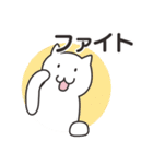 ひょっこりしろねこ（個別スタンプ：22）