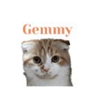 Gemmy！！（個別スタンプ：1）