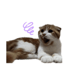 Gemmy！！（個別スタンプ：2）