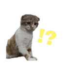 Gemmy！！（個別スタンプ：13）