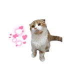 Gemmy！！（個別スタンプ：14）
