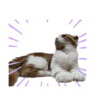 Gemmy！！（個別スタンプ：19）
