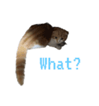 Gemmy！！（個別スタンプ：25）