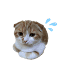 Gemmy！！（個別スタンプ：29）