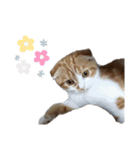 Gemmy！！（個別スタンプ：38）