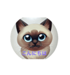 猫ちゃんの応援（個別スタンプ：1）